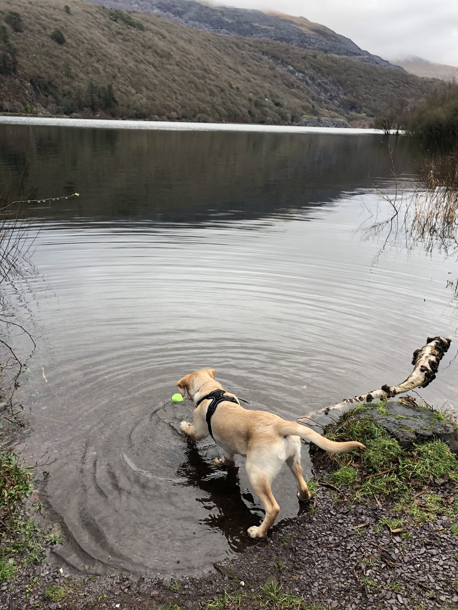 Mathyyw's tweet photo. Dydd sul yn Llanberis. https://t.co/LHiPN3On26