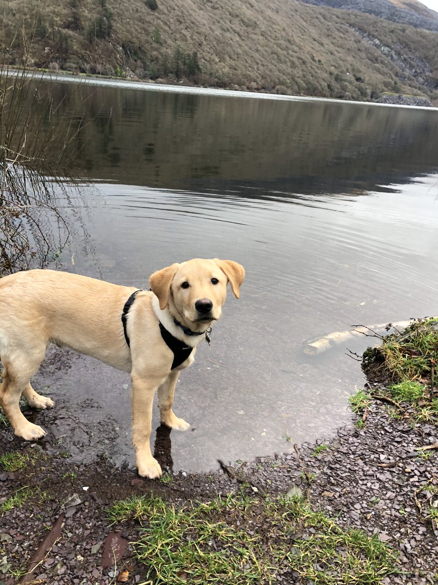 Mathyyw's tweet photo. Dydd sul yn Llanberis. https://t.co/LHiPN3On26