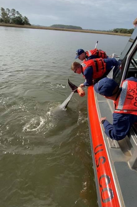 USCGReserve's tweet image. Bravo Zulu to the all reserve boat crew from Station Tybee (MKC Williamsen, BM1 Nedab, ME1 Matchette, ME1 Law, BM3 Provo, and AET3 Carey) who found a dolphin tangled in the line from a crab pot down river from Savannah on Jan 10 and were successfully able to free it, unharmed.