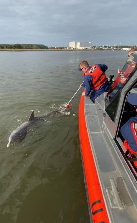 USCGReserve's tweet image. Bravo Zulu to the all reserve boat crew from Station Tybee (MKC Williamsen, BM1 Nedab, ME1 Matchette, ME1 Law, BM3 Provo, and AET3 Carey) who found a dolphin tangled in the line from a crab pot down river from Savannah on Jan 10 and were successfully able to free it, unharmed.