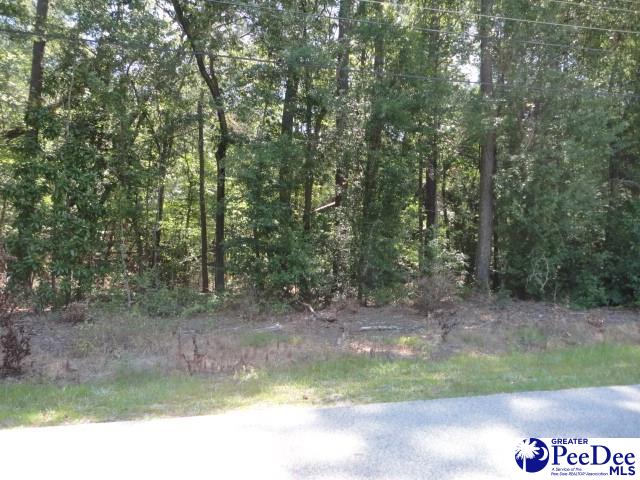 cb_mcmilllan's tweet photo. We are looking for a buyer on tbd Queen Elizabeth Way #Quinby #SC  #realestate https://t.co/tV2LgRfmJt https://t.co/62IpZ2IdZ8