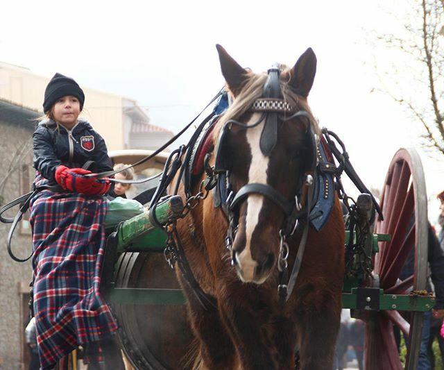 Taradell's tweet photo. Els @tonistaradell pioners a #Catalunya en activar un protocol per cuidar el benestar i l’estat dels animals que participen al Passant dels Tres Tombs! 👏🏻🐴
#taradell #taradelleja #festadelstonis #tonistaradell20 #tradicions #patrimoni #cultura #vidad… https://t.co/ZaNDednP7v https://t.co/GUHi2NdjjV