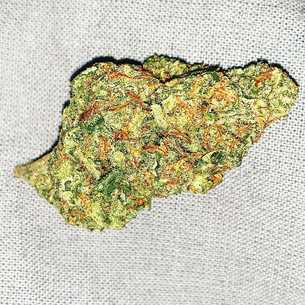 barcelonaweedc1's tweet photo. #Weed #weedagram420 #weedbethemovement #weeding2015 #weedingbrasil #weedofig #weediebraimah #WeedGirlsCanada #weedporndaily #weedtalk #weedtour #WeedWavesWealth #weedm8 #weedskaterlifestyle #WeedAndGeorgi #weedingdj #weednerdnation #weedlifestyle #weedpron #weedculture #weed https://t.co/lpyX2rb33Z
