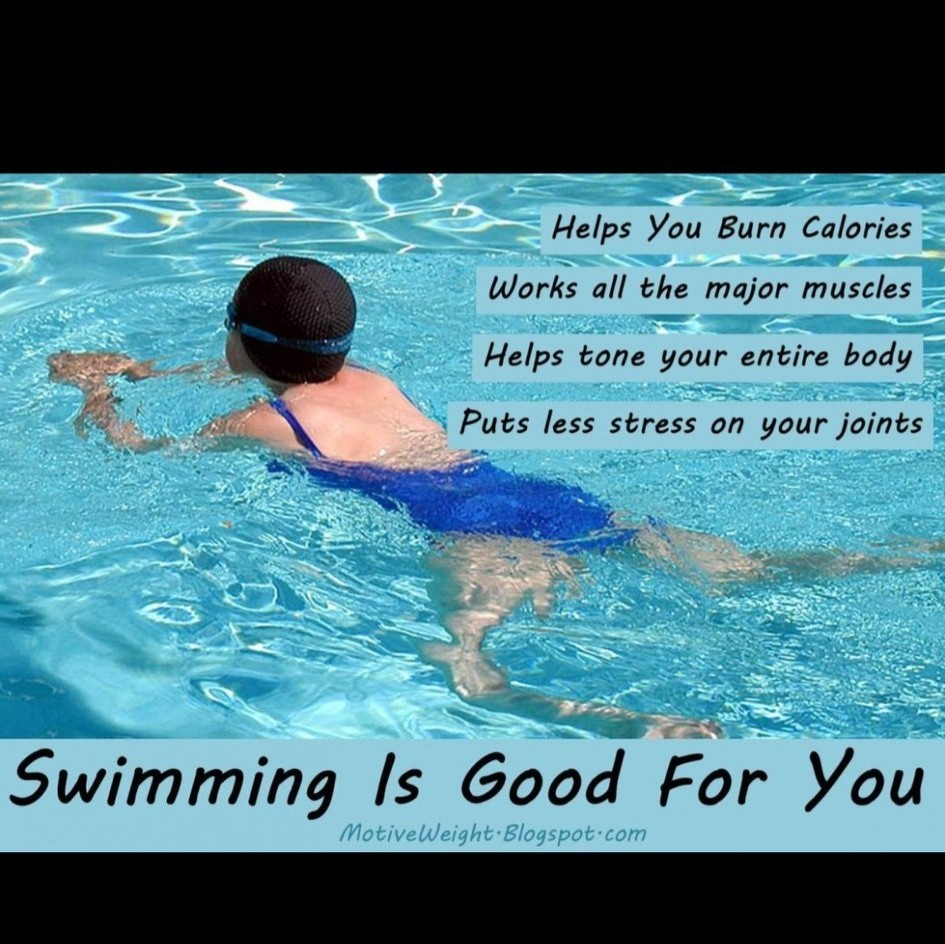 Get in touch....cater for all....🐳
 aegaqualinks@gmail.com 
Aegaqualinks.com