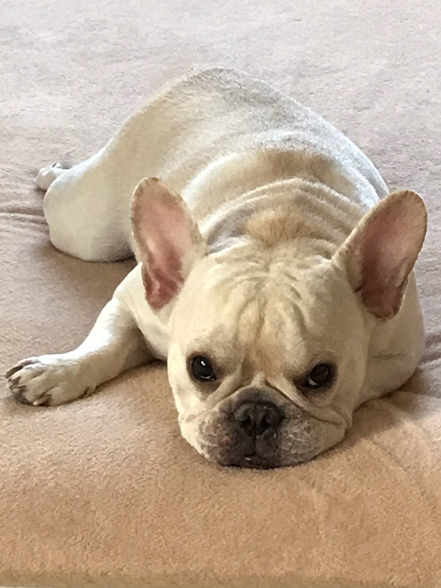 Zoozoomin 心臓マッサージの手は止まりました 何で脚の怪我の治療でこんな事になったんですか 先生は 不運な事が重なったんです タンコウシュはリスクが高いんです と言いました それなら何で 処置室で 1時間も拘束してたんですか あの時