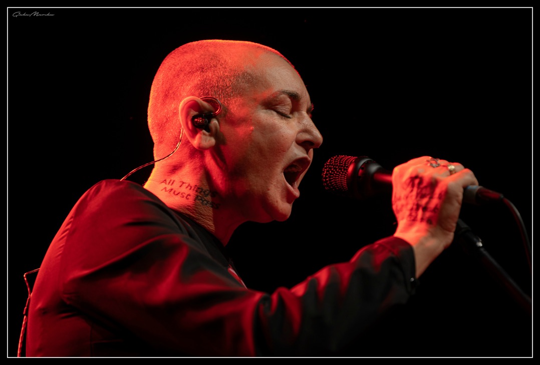 GiekeMerckx's tweet photo. Sinead O Connor aka Shuhada Sadaqat ... @MagdaDavitt77 @HetDepot @SineadOconnorHQ #Belgium #NothingComparesToU #legends https://t.co/0lSkrDMH09