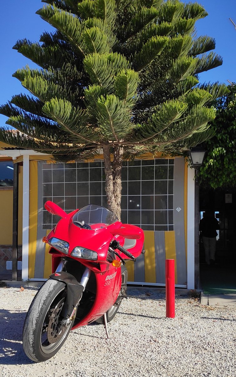 moss996's tweet photo. #ducati #998 #tamburini #sbk #desmotime #superbike #testastretta #ducatigram #ducatistagram #ducaticorse #ducatisti #ducatista #ducatiphotogram #motorcycles #ducatis_of_tamburini #dunlop #termignoni #brembo #ag10moto #xlite #bmcairfilters https://t.co/P808xOounT