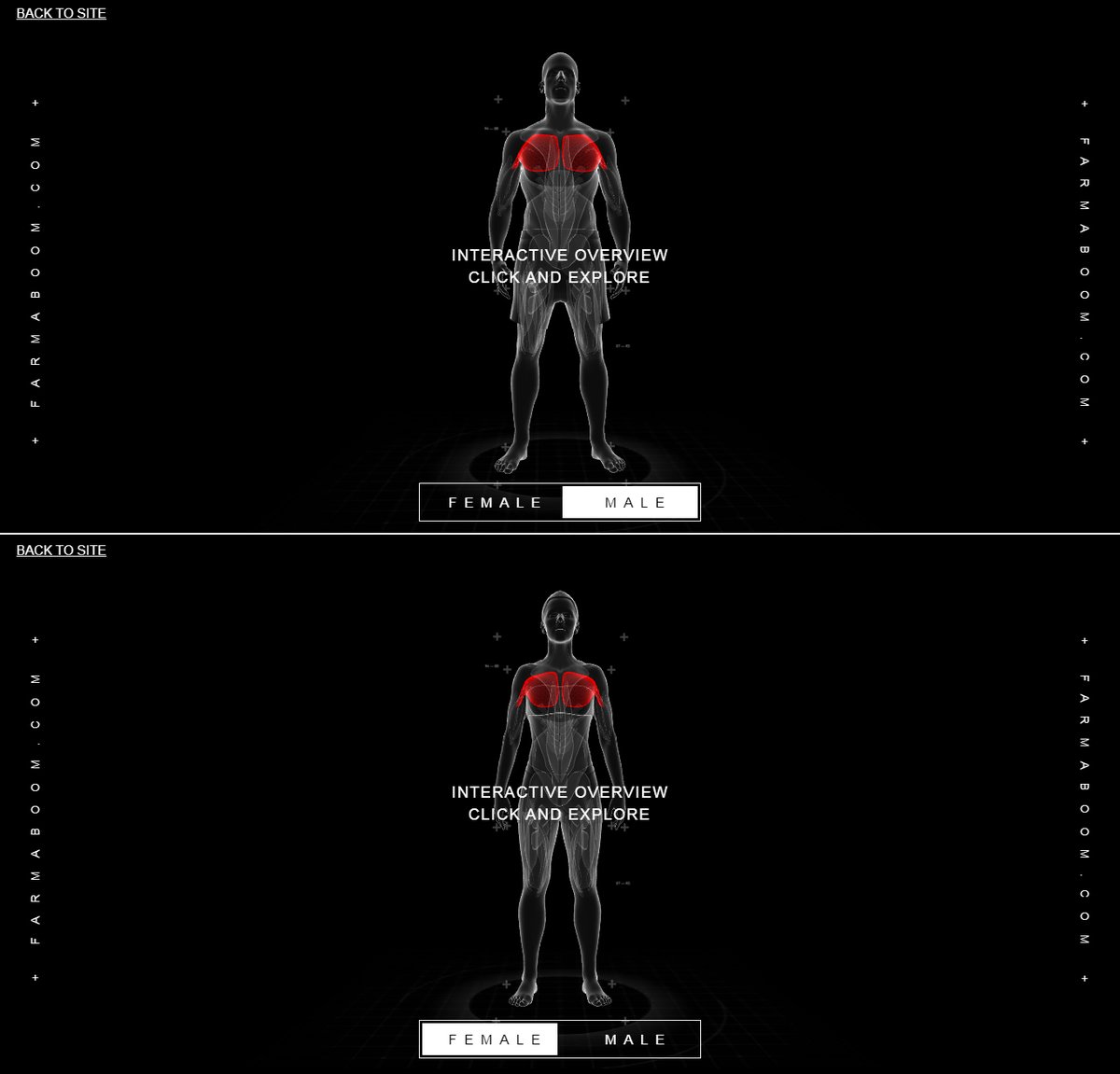 Promotionsetcom's tweet image. Interactive 3D tour "MUSCLE GROUPS" - made for the online store farmaboom.com/interactive/
#promotionset #bodybuilding #3D #FitnessMotivation