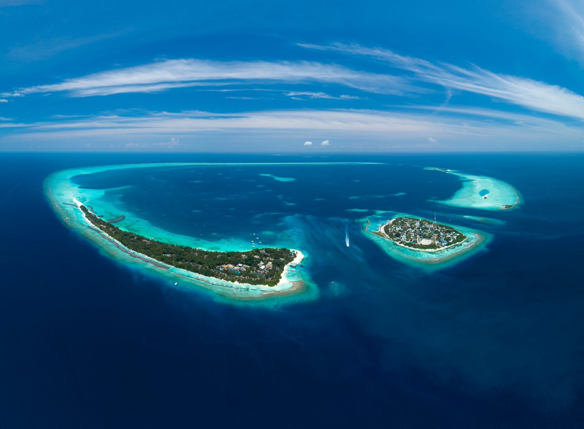 Niva Kuramathi Maldives tweet media