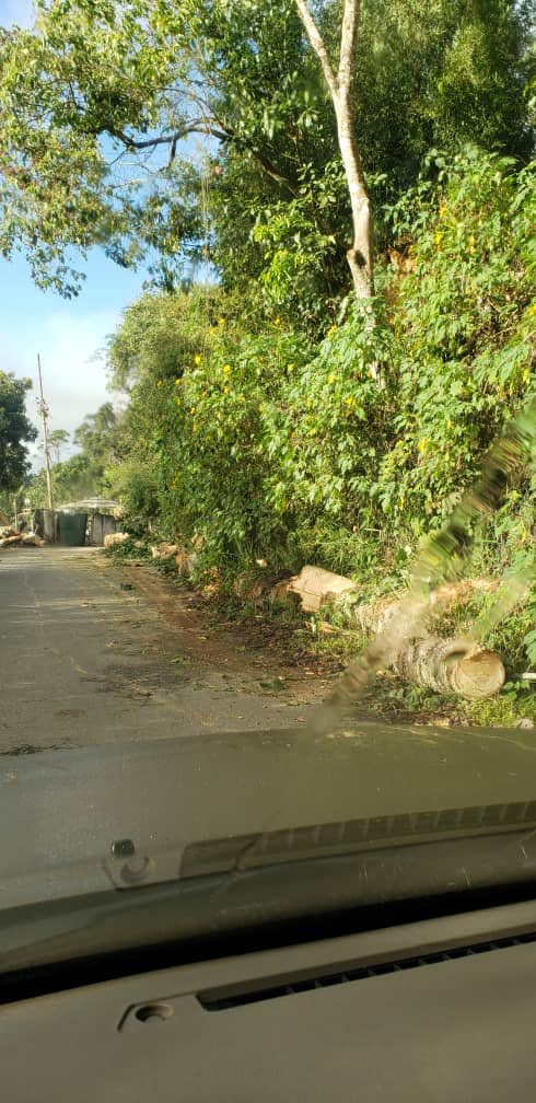 Asoripotovecino's tweet photo. #SinLuz en Oripoto. Tras dos dias de calvario con el serv eléctrico vecinos reportan la caída de un árbol al final de la Av. Tamanaco llevándose cables , postes y obstaculizando la vía . urgente enviar cuadrillas para apoyar a ese gran sector afectado @CORPOELECinfo @eliasayegh https://t.co/j6X87e281y