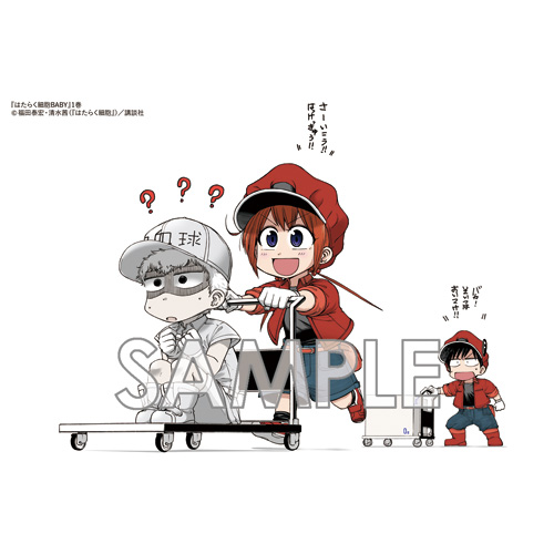 Comiczin 特典 コミック ママのおなかにいる時から 赤ちゃんの体内では細胞たちが働いている 生まれて初めての仕事 右も左もわからない それでも体を守るため 一生懸命働いている 乳児体内擬人化漫画 福田泰宏 清水茜 はたらく細胞baby 1巻が