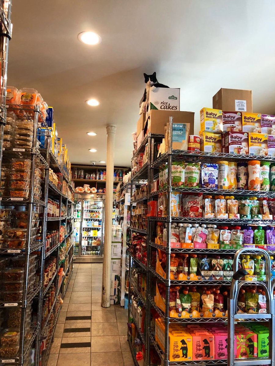 Bodegacats_'s tweet photo. https://t.co/O28aNsJUlK