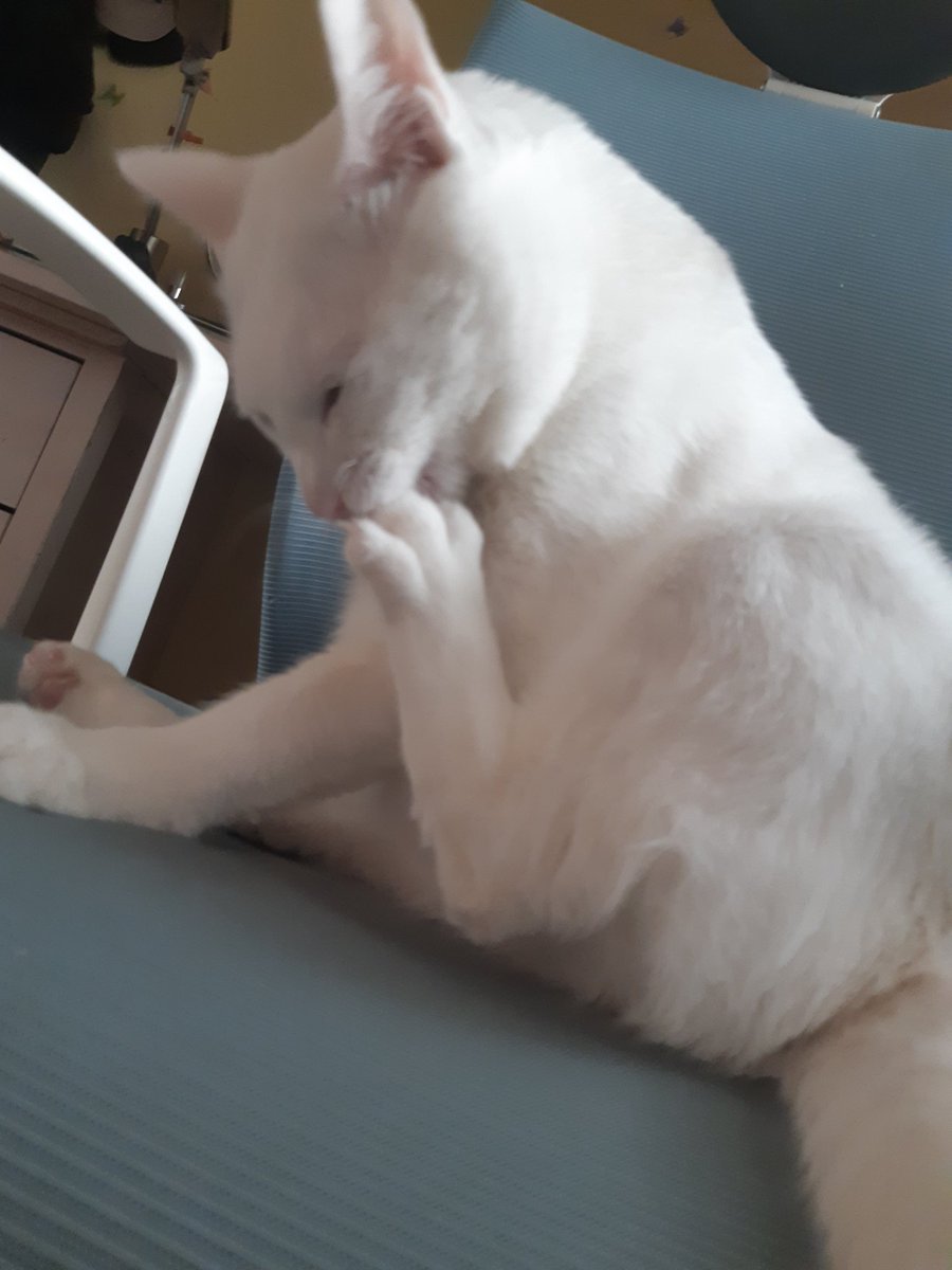 발고락 냠ㅁㅁ🤔