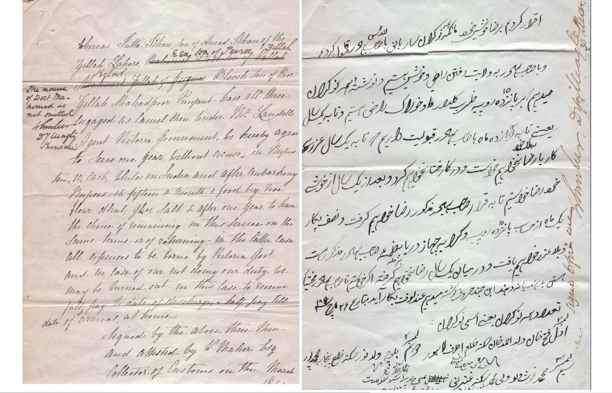 The three Afghans were hired as skilled workers on a one year contract. Here are their contracts they signed both English and Dari language. They were contracted to go with the Burke and Wills Expedition. Source: https://cv.vic.gov.au/stories/land-and-ecology/burke-and-wills-have-camels-will-travel/copy-of-the-contract-between-camel-handlers-and-the-victorian-exploring-expedition-written-in-dari/