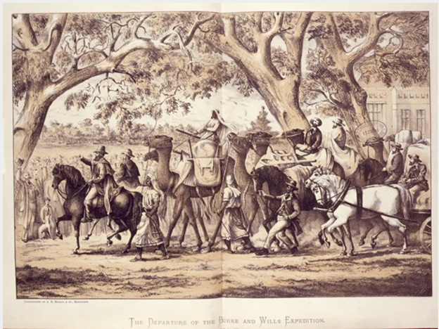 "The Burke and Wills expedition set off from Royal Park, Victoria, on 20 August 1860 with great pomp and excitement. Fifteen thousand people gathered to watch the expedition depart. The camels and their exotic handlers were one of the main attractions." https://cv.vic.gov.au/stories/land-and-ecology/burke-and-wills-have-camels-will-travel/the-expedition-departs-from-royal-park-20-august-1860/