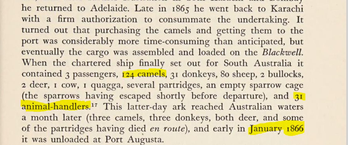 The next import happened in 1866 when 31 Afghans, 124 Camels and other cattle were brought in to Australia from India and Afghanistan. The animal handlers were not all Afghans; there were Punjabis, Egyptians, Turks etc. but they all were invariably called Afghans, later Ghans.