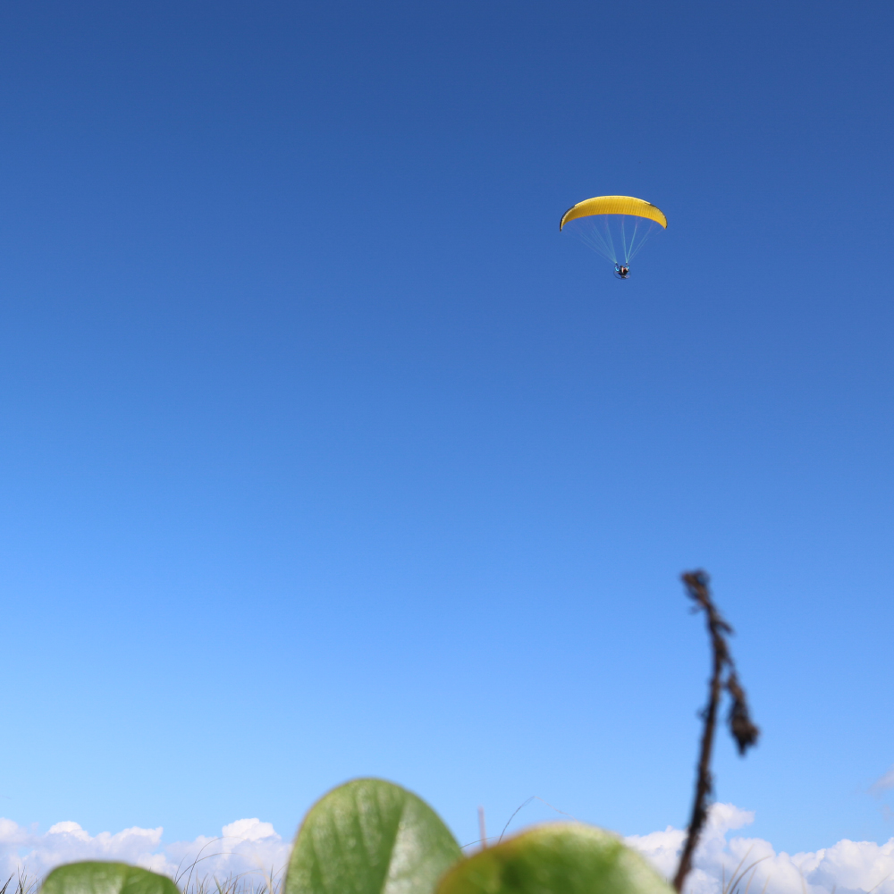 solparagliders's tweet photo. Você vê um pequeno ponto no seu e ai o que acontece?
Bem que podia ser eu!
#solparagliders #solsports #runnerxc #paramotor #paramotoring #paramotorbrasil #paragliders #parapente https://t.co/f3k5Xo6drx