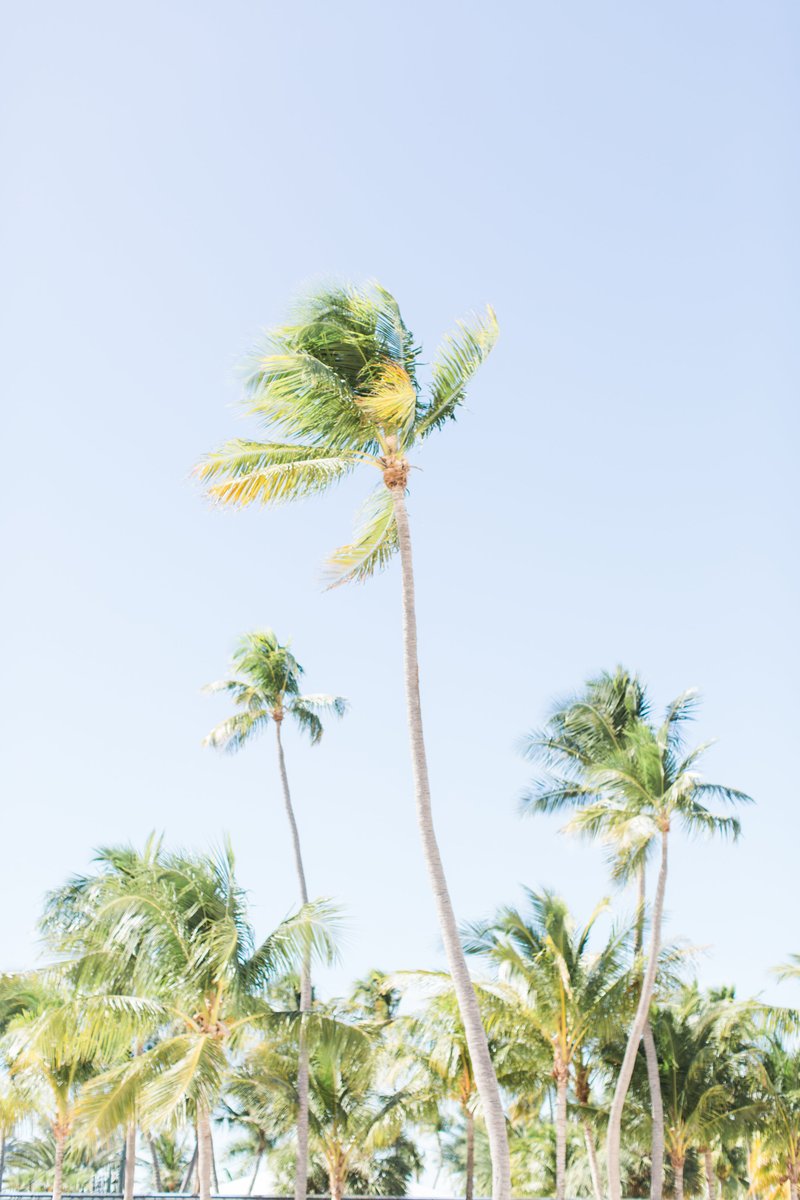 Islander_Resort's tweet photo. Sunkissed Sundays https://t.co/Yvj27cAQiM