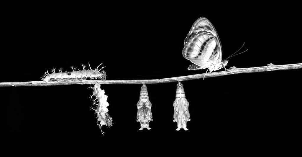 Les 10 clés d’une transformation positive missphilomene.com/2020/01/12/les…