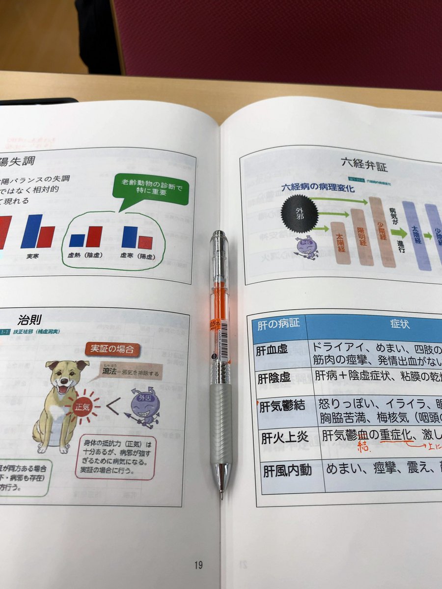 今日ま麻酔外科・循環器・画像診断学会もあったのですが、１年間続けていた比較統合学会の集大成の学科及び実技のテストがあり受けてきました。
いろんな先生がいろんな思いで学んでいる事を知りやはり刺激になりますね。
そろそろ必要な子たちに還元です！