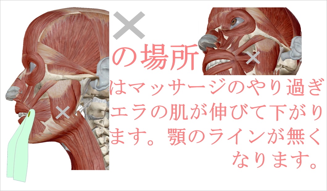 【 マッサージで顔が伸びた、弛んだ人 】

顔のマッサージをされて余計顔が伸びてしまった、弛んだという相談がとても多いです。
一度緩んで伸びた肌は中々戻りません
 ✖️がある場所はマッサージしないでください
