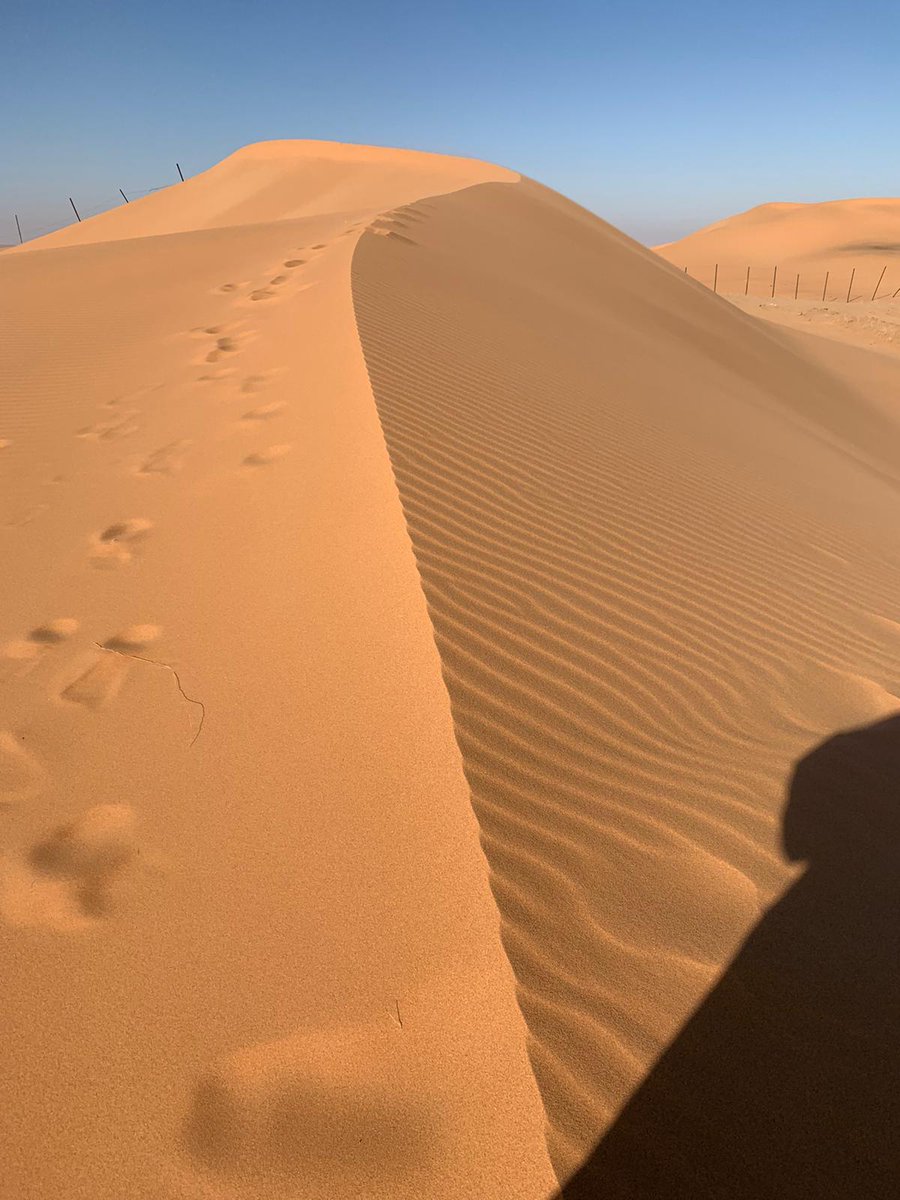 Epsilon_dakar's tweet photo. El @dakar2020 vuelve con su etapa más larga y variada, la Riyadh - Wadi Al-Dawasir. Dunas y fuera pista. 741 kilómetros de los cuales 546 crono. Ahí va el vídeo de la salida... ¡Vamos @KH7_Sport Epsilon Team!
#epsilonteam #dakarrally #kh7epsilonteam #dakar #dakarchapter3 https://t.co/P5gm1u9zcA