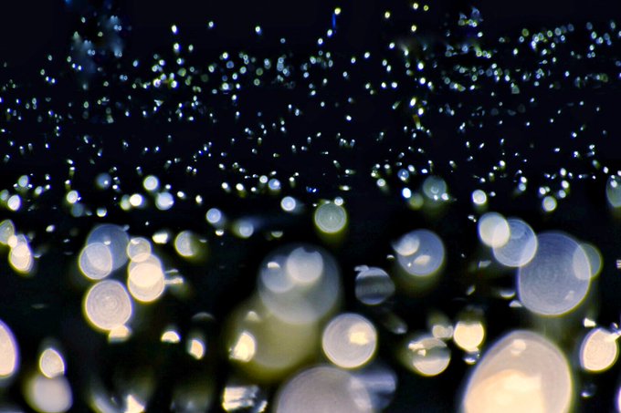 真冬の蛍のtwitterイラスト検索結果