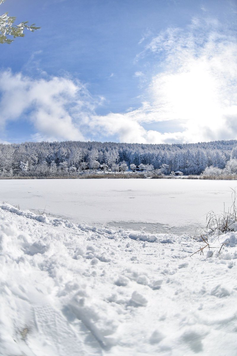 wanko_QQQ's tweet photo. ❄
た
て
写
真
❄開いてみてね⛄。°.。❅°.。゜.

#キリトリセカイ 
#雪景色 #おいでよ信州 
#写真を撮ってる人と繋がりたい 
#ファインダー越しの私の世界 https://t.co/Q0aIgkR0Tn
