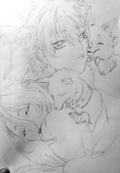 鳴狐と白山くん
?ふわふわでございます～? 