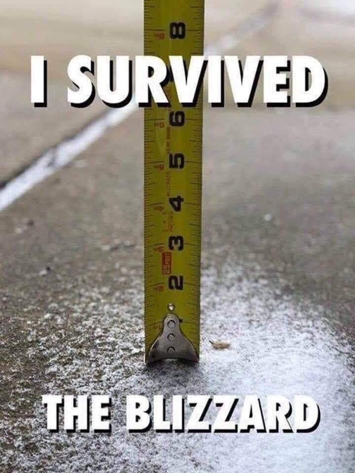 SchaefferBrian's tweet photo. https://t.co/srm3PHmEIP