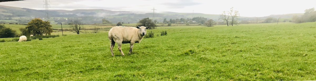 seannoonanchef's tweet photo. @CeliaFarm love the fact we have produce so close to us at the farm it definitely gets a chefs brain working on how to utilise the whole animal #FoodForThought @NWYoungChefComp @NorthWestFDMB #menuwriting @essentialcuisin https://t.co/9a8qGe8Fwi