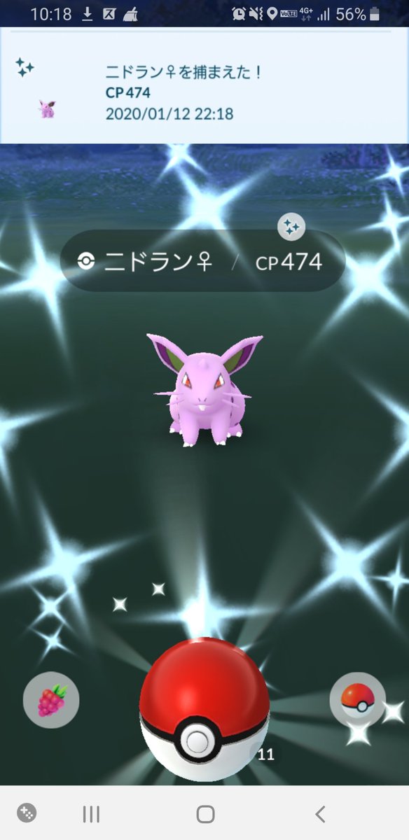 miccygo109's tweet photo. 『♀️を♂よ(推すよ)‼️』
#結果をし♀️よ✌笑
#ポケモンgo
#12pt https://t.co/frF4pcvQkr