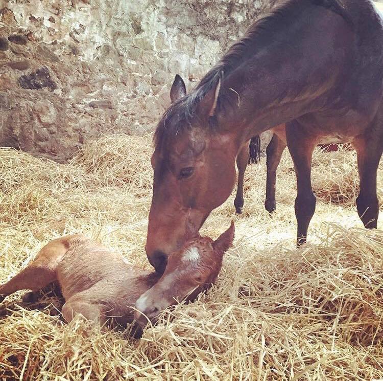JDeltaRacing's tweet photo. Seen as it’s kiss a ginger day what better day to share this  💛💋 🖤#kissagingerday #CallMeGinger #JDR https://t.co/t84FoW8DOZ