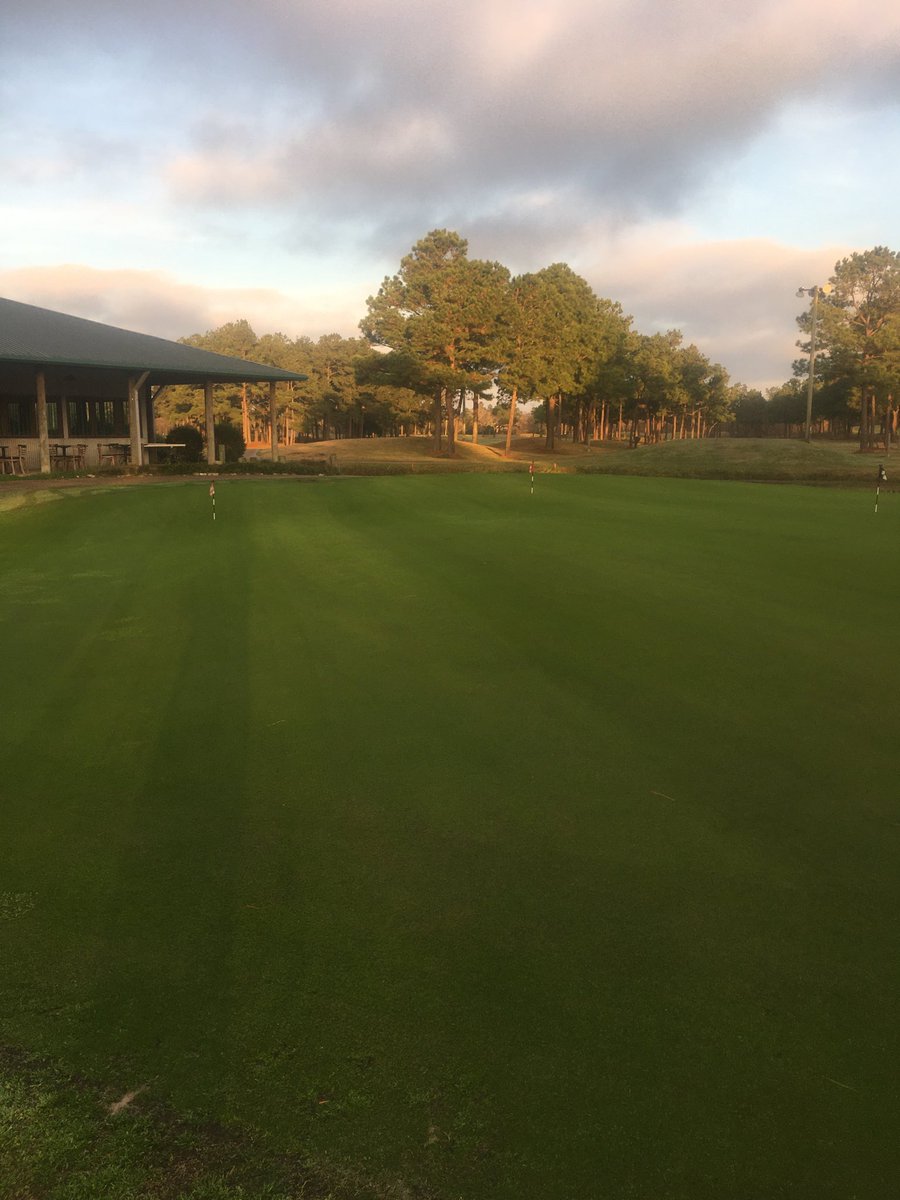 BeaconLakesGolf's tweet photo. Greens are green today https://t.co/yZIE7au7LR