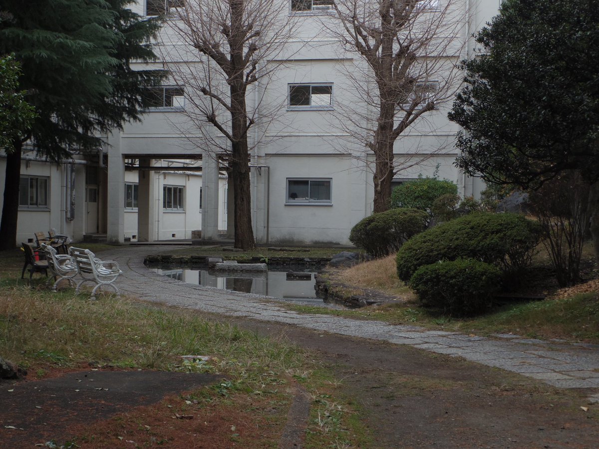 suiran100's tweet photo. 【今日の中庭】しっとりとした冬の中庭、風情があり好きです！
音フェスの実行委員会
パンフが出来あがりました
#翠嵐高校 #三ツ沢 #yokohama #音フェス　#翠嵐会 https://t.co/uQouHsJbSh