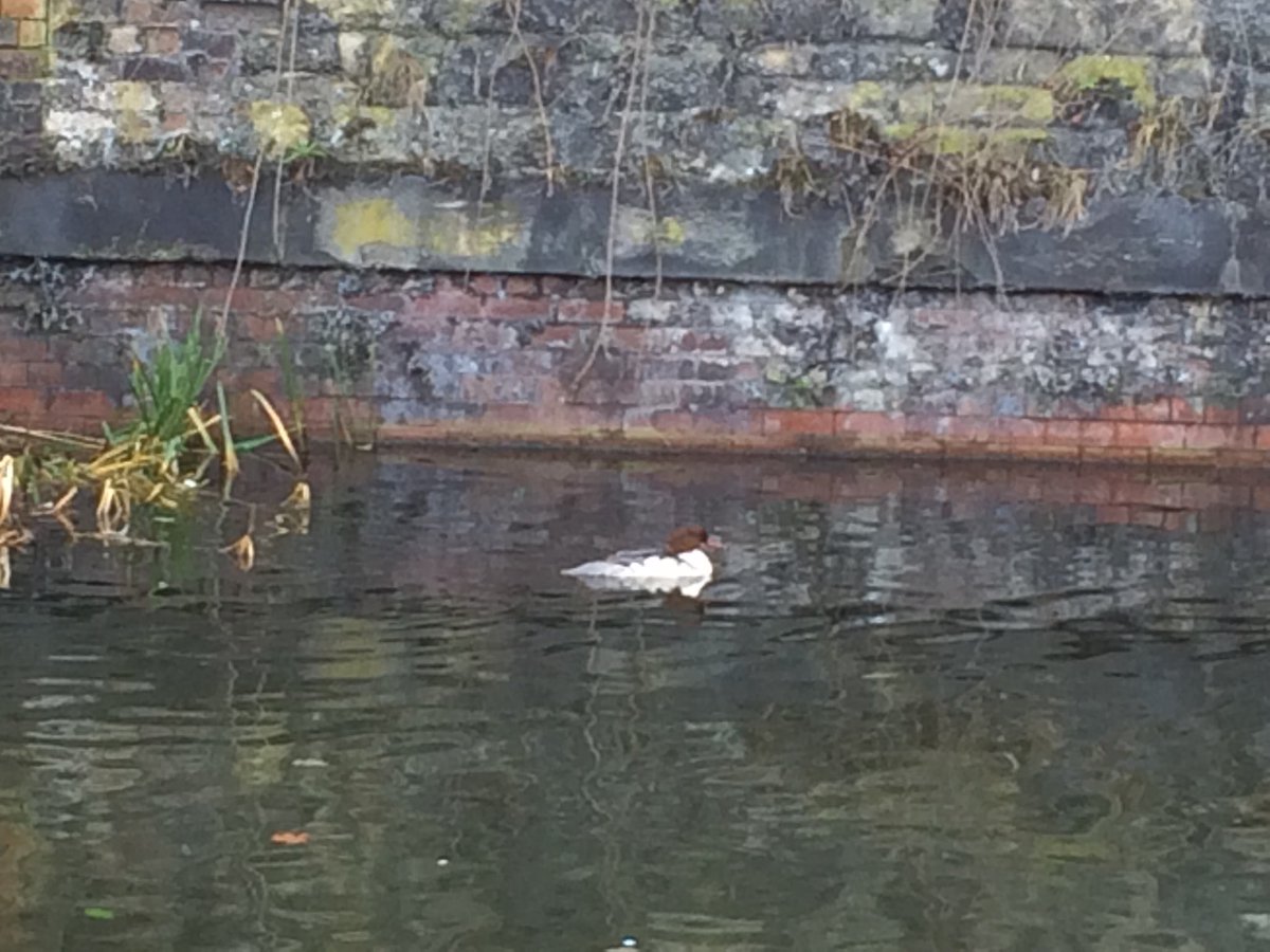 Jim Wardill tweet media