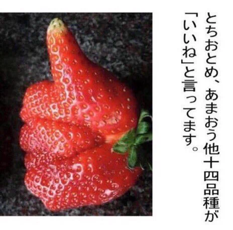 おめでとうよりこっちの方がよかっただろうかね?知らんけど 