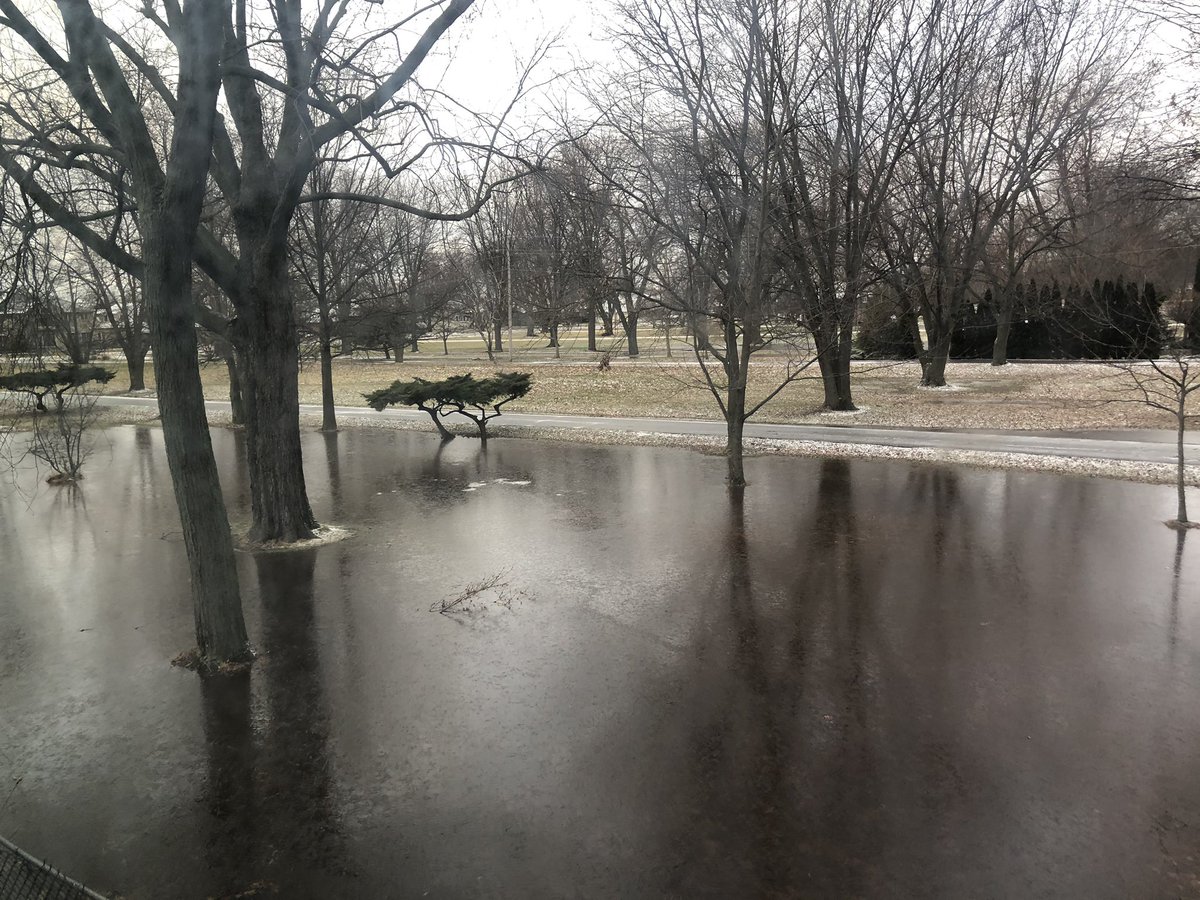 Neighbors front yard is now a giant ice rink #Windsor #ONStorm #icerink #lakeshore #flood #ice