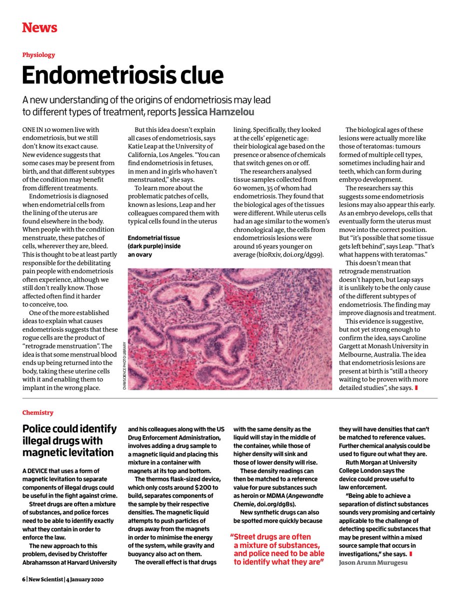 Fearless Rear tweet media