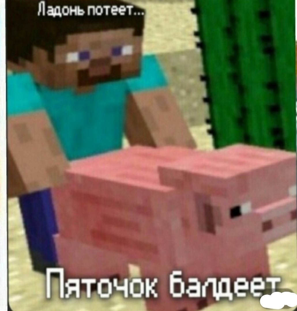 Свинья и Стив из МАЙНКРАФТА