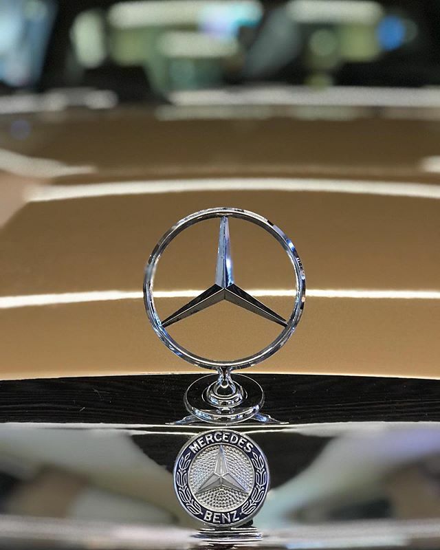 MercedesBenzCCG's tweet photo. Günün fotosu: #raymotors #mercedes #benz #classic #cars #retro #hobby #garage #benzroyals #carstagram #instacar #vintagecar #mb #mbclassic #mbfans #picoftheday #caroftheday #photooftheday #w123 #w116 #w114 #w107 #w108 #w113 #w111 https://t.co/o0kCO0YHQj