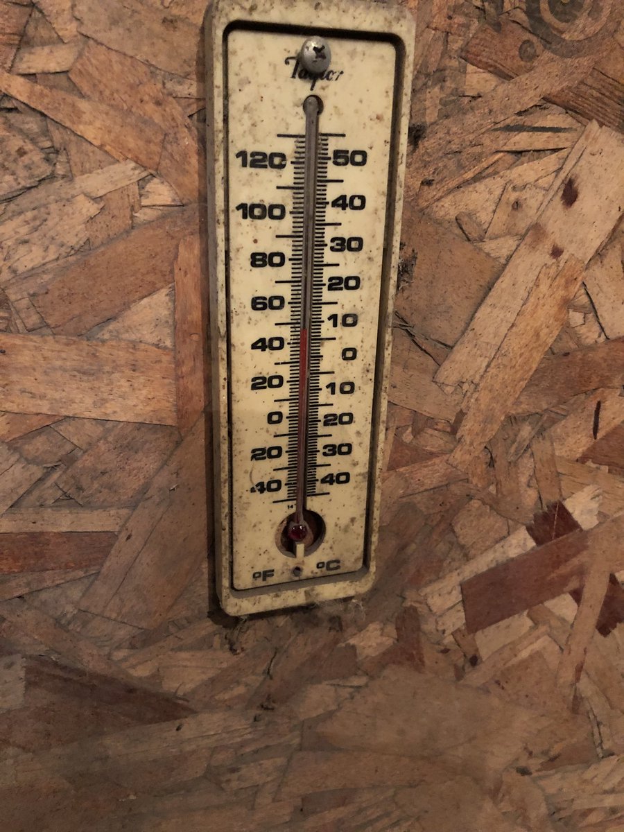ChrisPawelski's tweet photo. And the verdict is ... temps only went up a couple of degrees or so. The barns held the cold! #onions #Januarywarmth #toowarm #Temperature https://t.co/lxorJnRN2k