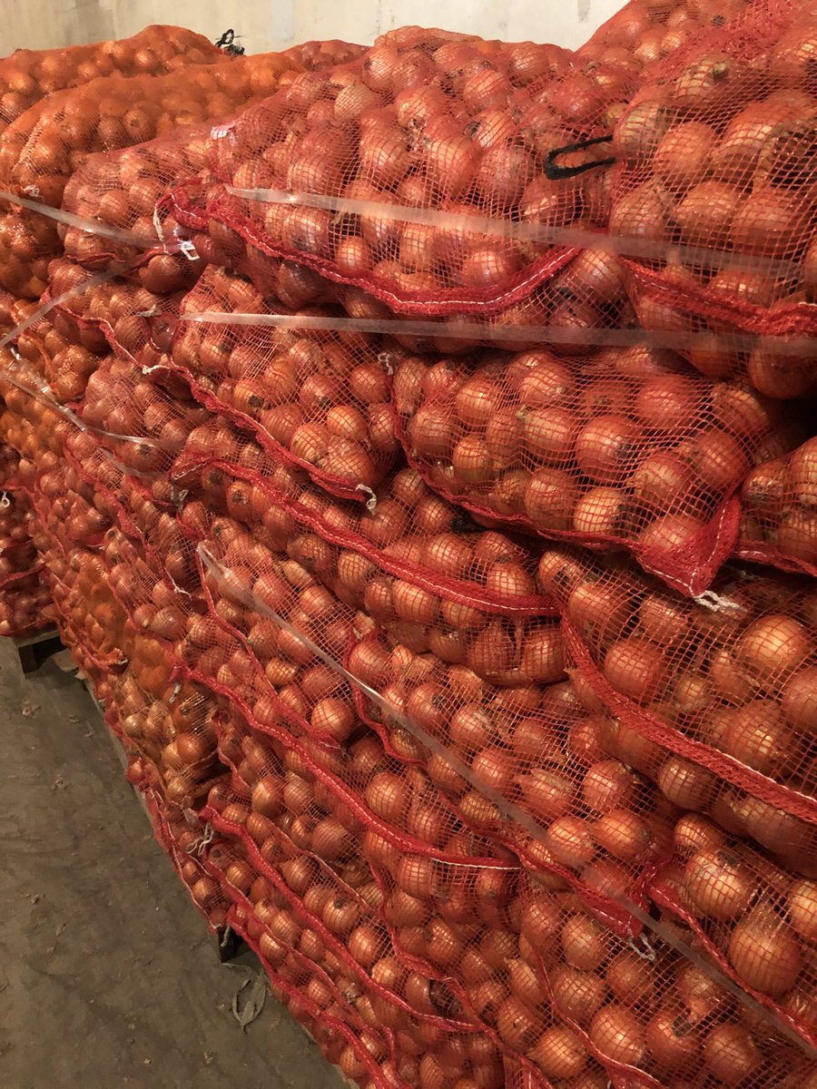 ChrisPawelski's tweet photo. That’s the 1 3/4 to 2 1/4 inch onions bagged. It turned out I had exactly a tractor trailer load, 900 50lb bags. I hope to get $.07lb. It’s sad and shouldn’t be. #onions #Januarywarmth #toowarm #Temperature https://t.co/8lxpJ7rplE