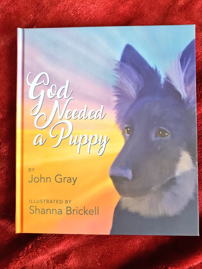 snickles1977's tweet image. I have such wonderful friends! Thank you so much to fellow @fbhw #FancyTwidiot @MrsDtweets13 for the kind, thoughtful words and beautiful book❤❤ Chloe was definitely a special girl that needed to bring love and smiles to another. Lovely book to bring tears and also smiles💕