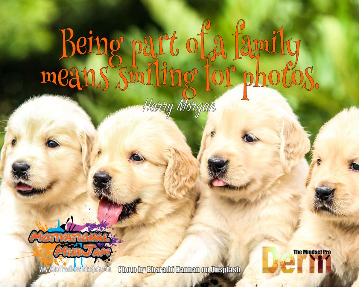 DermotDunne's tweet photo. Being part of a family means smiling for photos.

Another Motivational Meme from Derm The Mindset Pro.

#Sunday #motivation #inspiration #success #morningmotivation #havemotivation #Family 

https://t.co/mhJUTIW9Pe https://t.co/dhvvBTTI9i