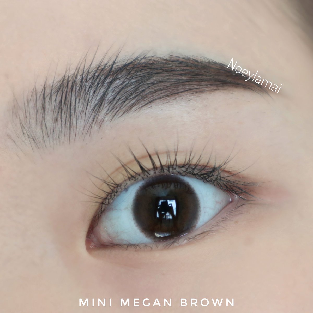 noeylamai's tweet photo. คอนแทคเลนส์ที่ชอบมากที่สุดในตอนนี้ ยกให้ Mini Megan Brown จาก Zpluz เลย คือมันเป็นสีน้ำตาลที่ละมุน และธรรมชาติมากกก! ตัวเลนส์จะพิมพ์ลายบางๆ ขนาดเล็ก ใส่แล้วตาดูซอฟท์ขึ้น หวานขึ้น เลนส์นิ่มสบายตา ค่าอมน้ำสูงด้วย ซื้อซ้ำแน่นอน #ไว้รีวิวห้ามขายของโว้ยย #HowtoPerfect https://t.co/g4tDSmHjC8