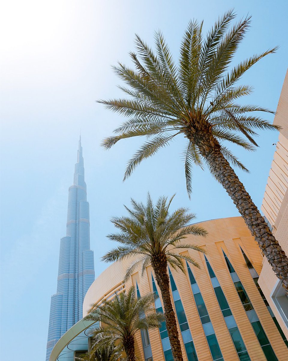 EliteYoga_Dubai's tweet photo. #Dubai! The land of #beautiful #views and our #relaxing #retreat! Tap the link in bio to learn more about our 'Treat Your Body Like a Temple Retreat'. 📷 @heftiba.co.uk

#wellnessblogger
#workoutflow #keepflowing #flowmore #release #yogatime #yogadays https://t.co/d6kyKS10BU