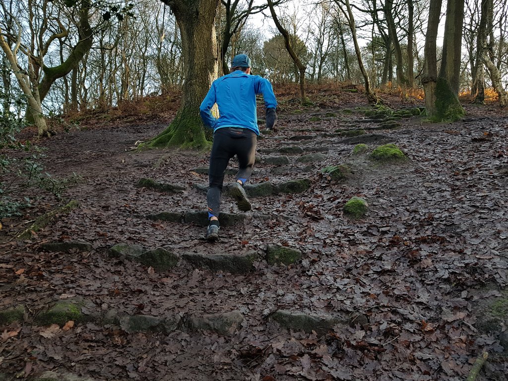 I could go to the gym but this is better in so many ways...