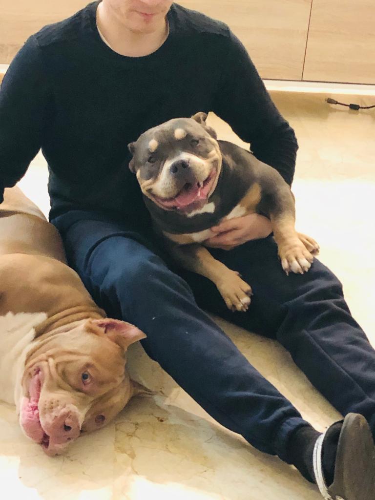 Siempre felices 💪💪💪
Dexter y Amy 👑