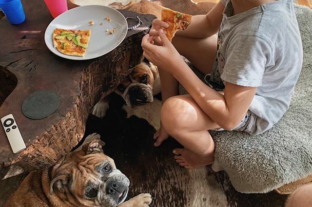 johnlouiswest's tweet photo. Eating with #bulldogsofinstagram https://t.co/MNcqGpMPet https://t.co/En3rMqa9uE